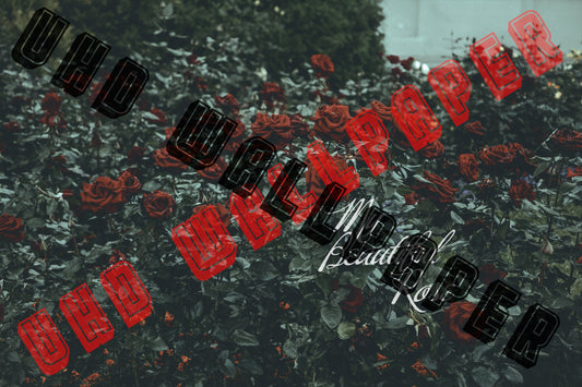 COVER ART UHD Wallpaper